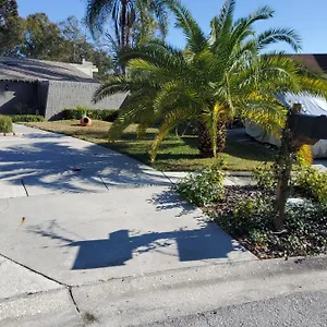 Beautiful Close To Everything Apartment Tampa
